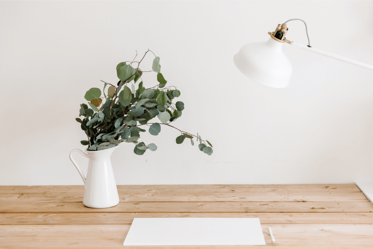 desk with lamp, plant and paper